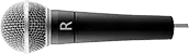 Microfoon Raymond